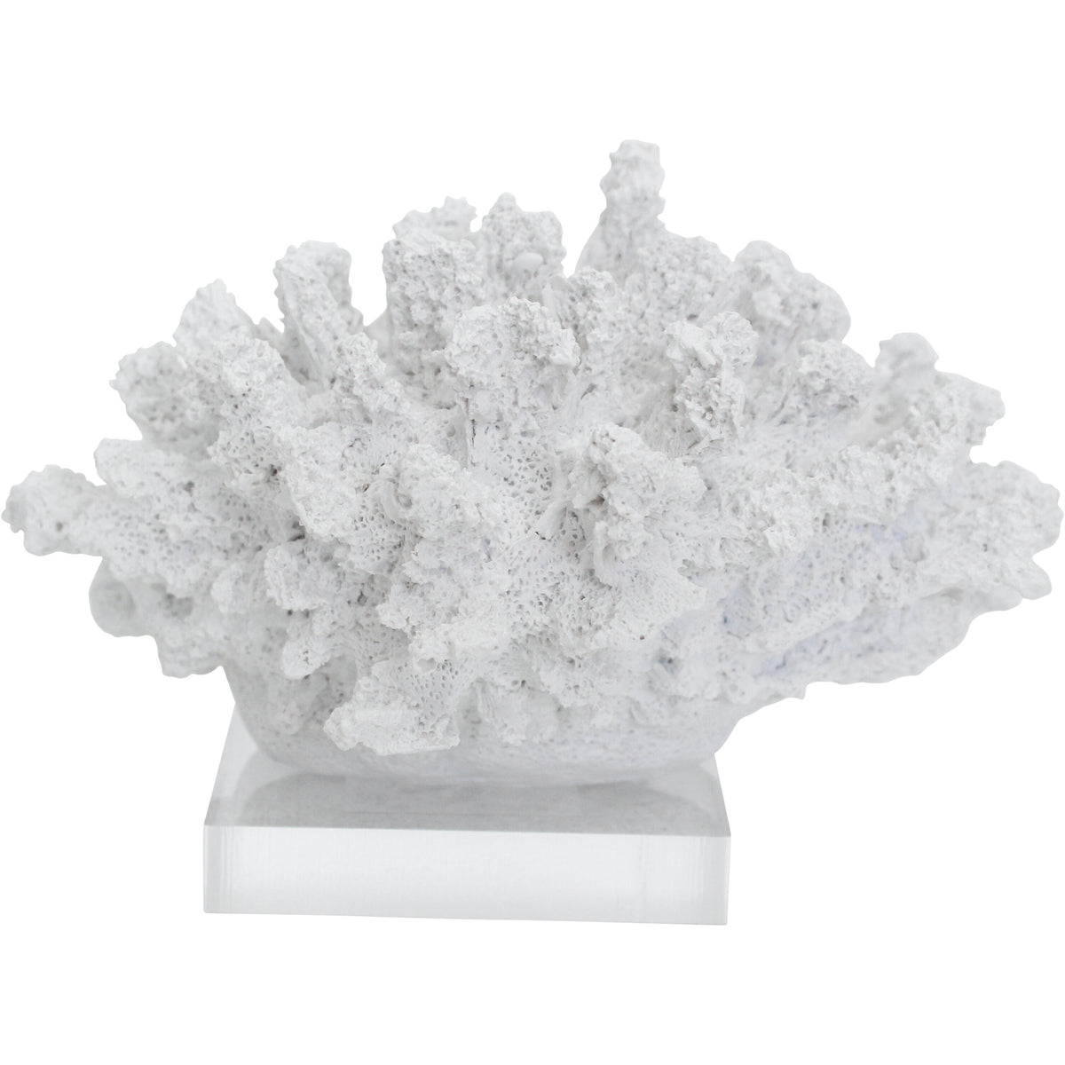 Crisp White Tidal Coral Coastal Décor 17.5cm