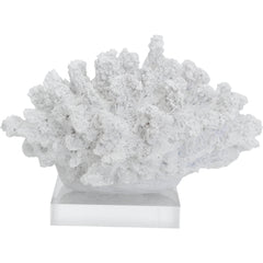 Crisp White Tidal Coral Coastal Décor 17.5cm