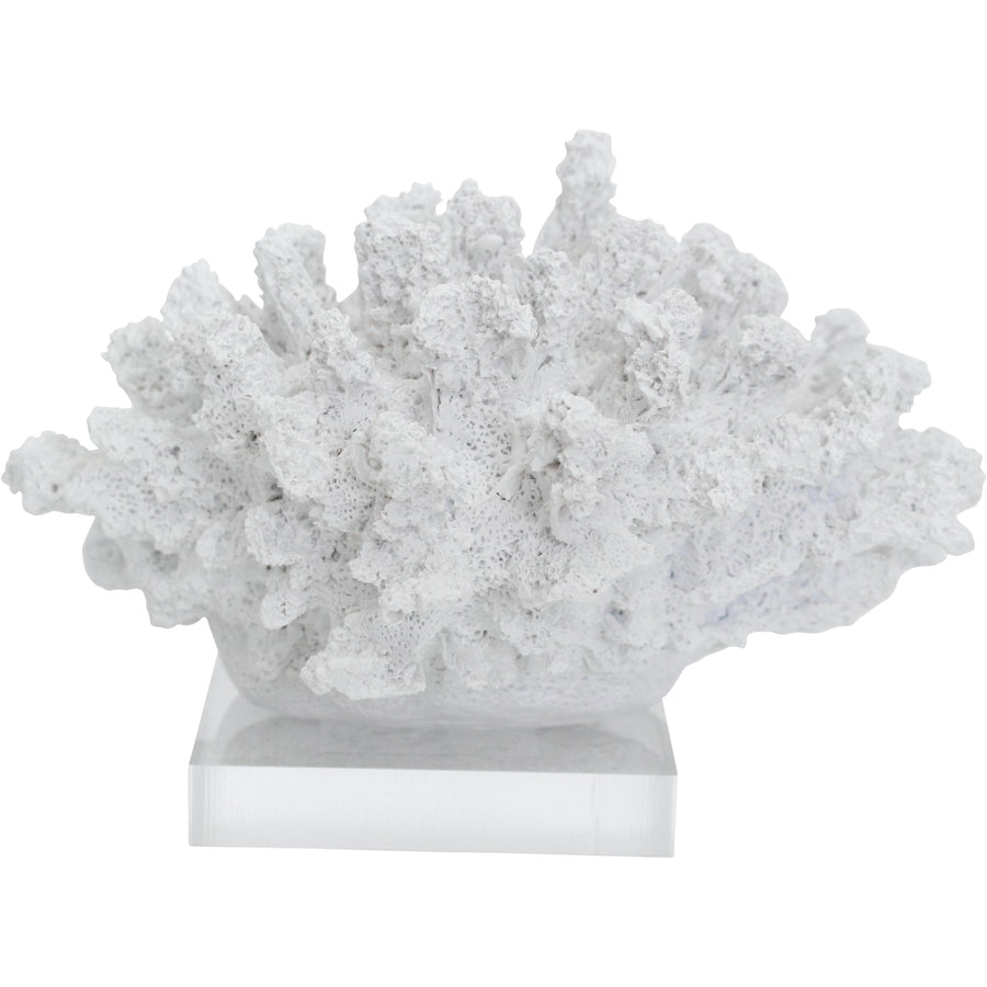 Crisp White Tidal Coral Coastal Décor 17.5cm