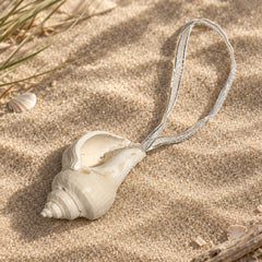 Real White Channelled Whelk Sea Shell Hanging Christmas Decoration with Ribbon