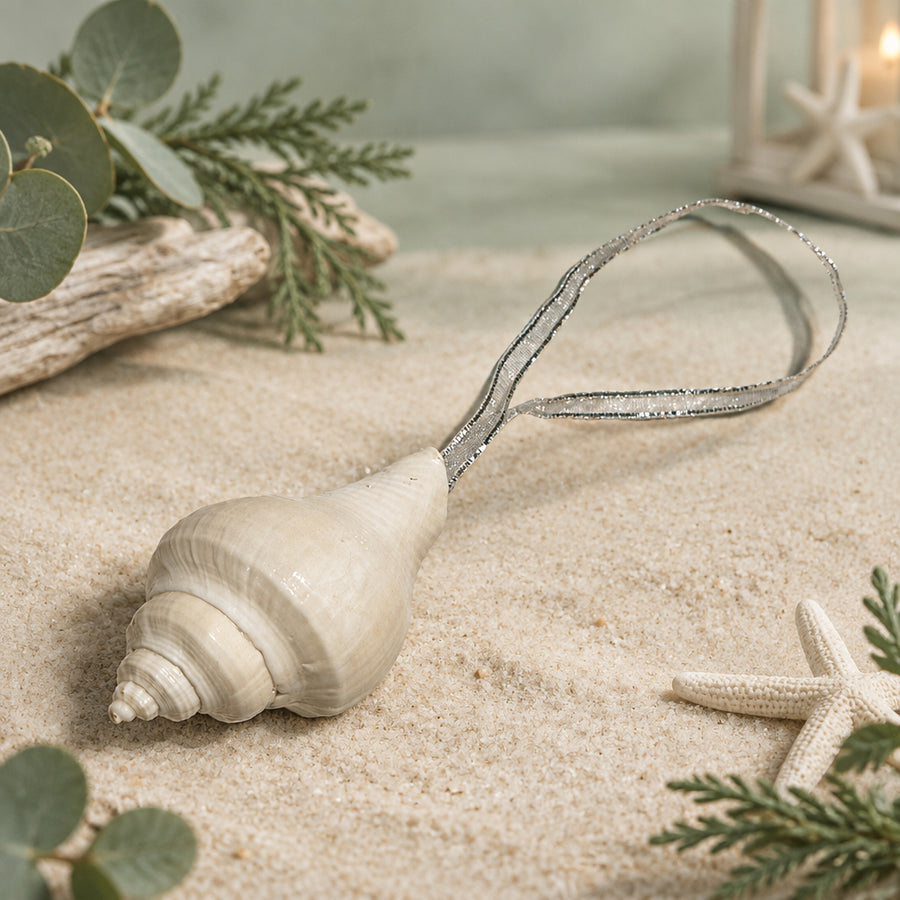 Real White Channelled Whelk Sea Shell Hanging Christmas Decoration with Ribbon
