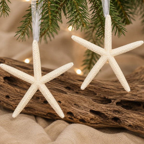 Set of 2 Natural White Starfish Hanging Christmas Ornaments with Ribbon