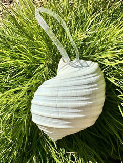 Natural Real Sea Snail Shell hanging Christmas Decoration with sheer ribbon - My Coastal Collection