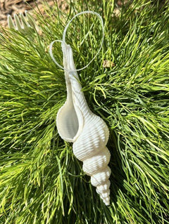 Natural Real White Conical Spindle Sea Shell hanging Christmas Decoration with sheer ribbon - My Coastal Collection