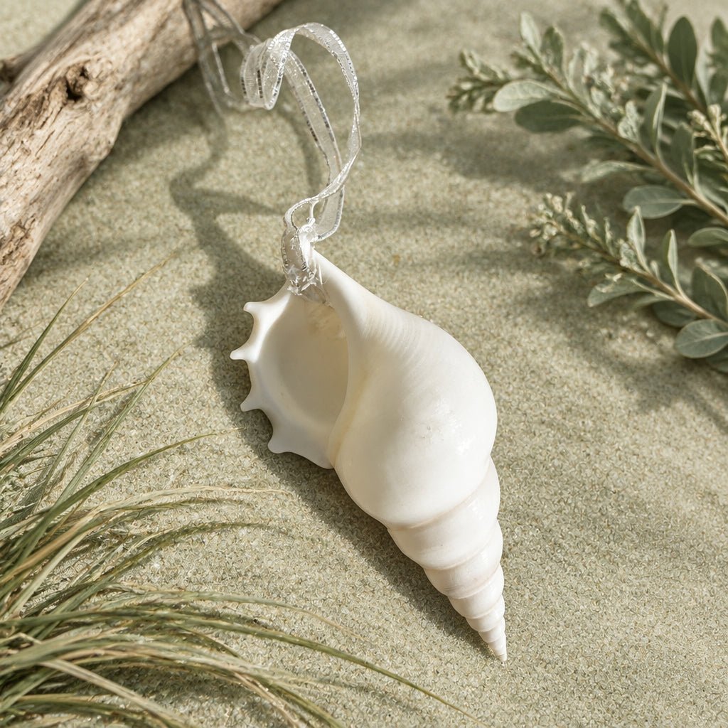 Natural Real White Delicate Tibia Spindle Sea Shell hanging Christmas Decoration with sheer ribbon - My Coastal Collection
