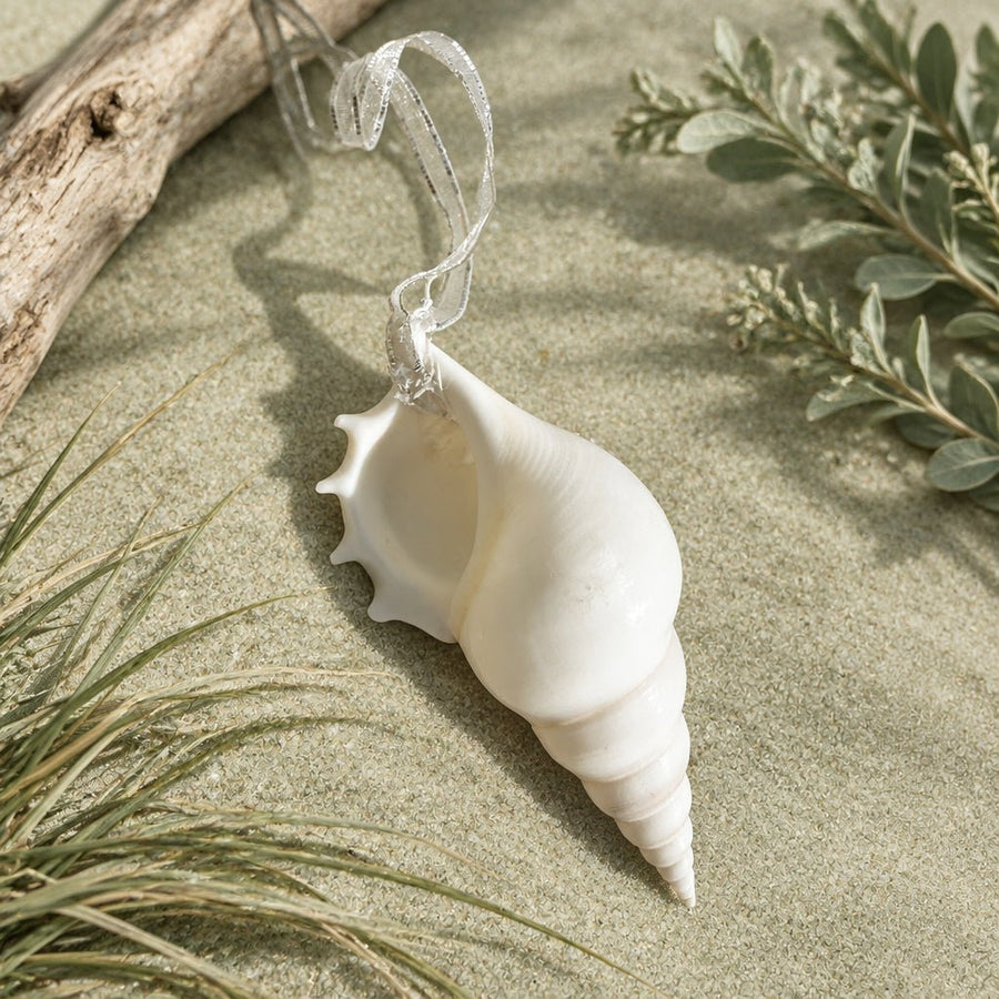 Natural Real White Delicate Tibia Spindle Sea Shell hanging Christmas Decoration with sheer ribbon - My Coastal Collection