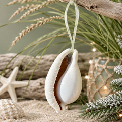 Natural Real White Egg Cowrie Sea Shell hanging Christmas Decoration with sheer ribbon - My Coastal Collection