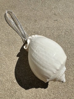Natural Real White Melo Melon Sea Shell hanging Christmas Decoration with sheer ribbon - My Coastal Collection
