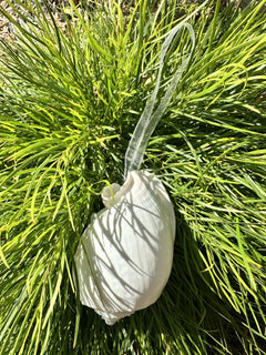Natural Real White Melo Melon Sea Shell hanging Christmas Decoration with sheer ribbon - My Coastal Collection