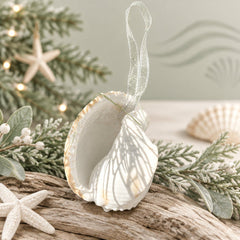 Natural Real White Melo Melon Sea Shell hanging Christmas Decoration with sheer ribbon - My Coastal Collection