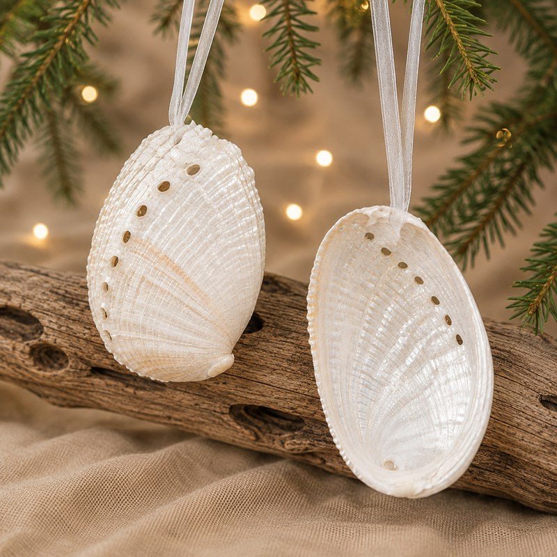 Set of 2 Natural Iridescent Champagne Abalone Sea Shell hanging Christmas Decoration with ribbon- Haliotis diversicolour pearled - My Coastal Collection