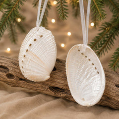 Set of 2 Natural Iridescent Champagne Abalone Sea Shell hanging Christmas Decoration with ribbon- Haliotis diversicolour pearled - My Coastal Collection