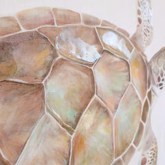 Framed Sea Turtle Hand-Finished Canvas Wall Art with Pine Timber Frame (50x50cm)