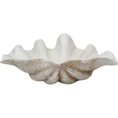White Clam Shell Coastal Décor – 29.5cm - My Coastal Collection